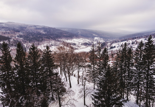 IMG 0045